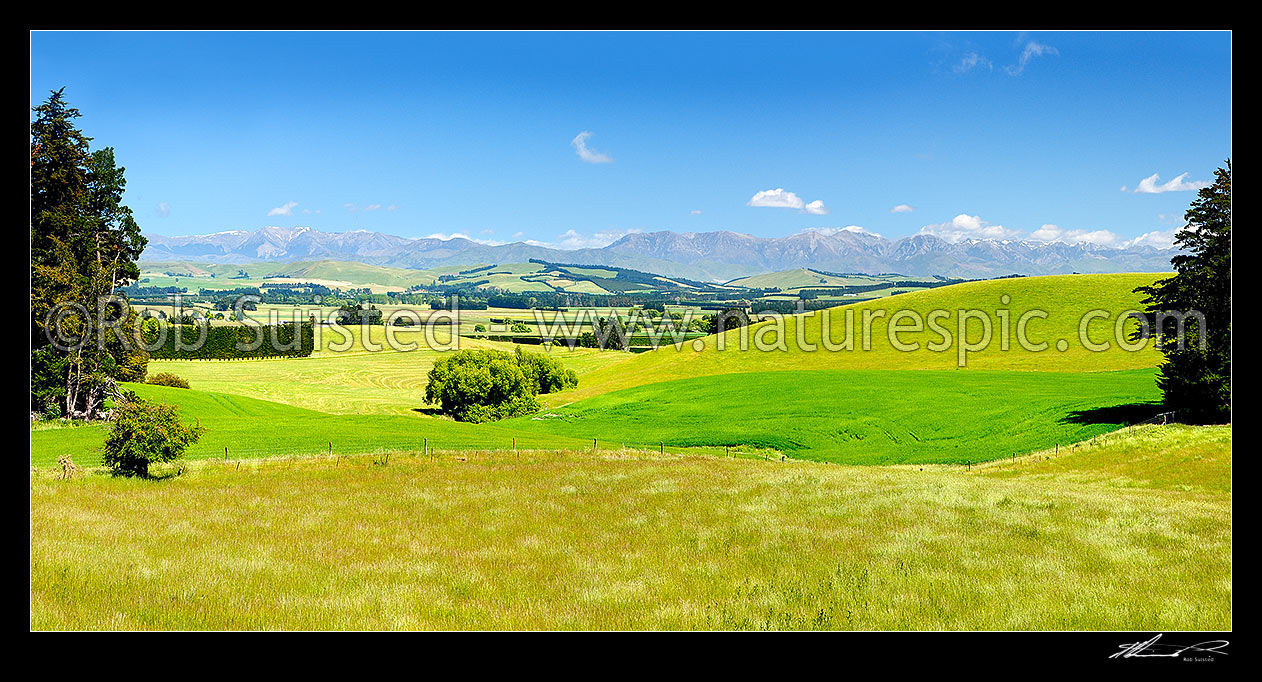 Image of Waikari lush rural farmland panorama with the Puketeraki Range behind, Waikari, Hurunui District, Canterbury Region, New Zealand (NZ) stock photo image