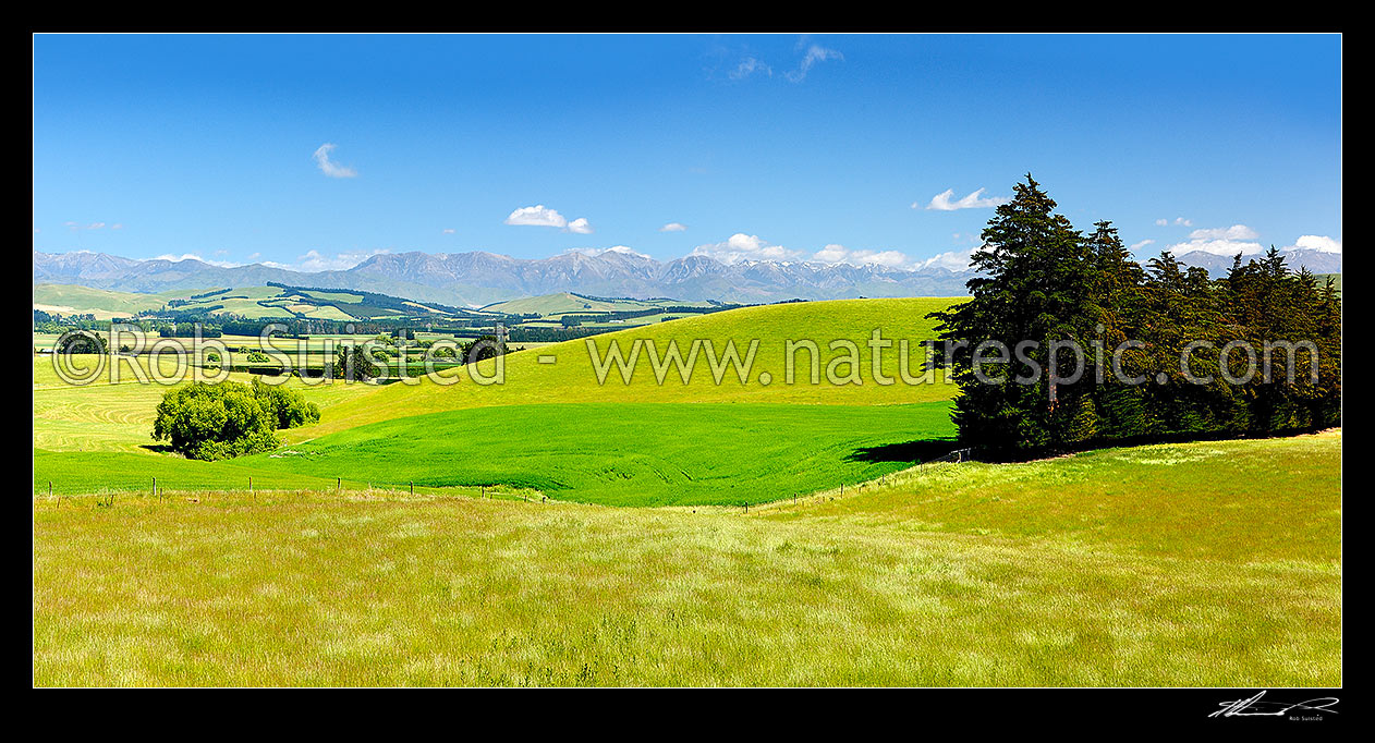 Image of Waikari lush rural farmland view with the Puketeraki Range behind, Waikari, Hurunui District, Canterbury Region, New Zealand (NZ) stock photo image