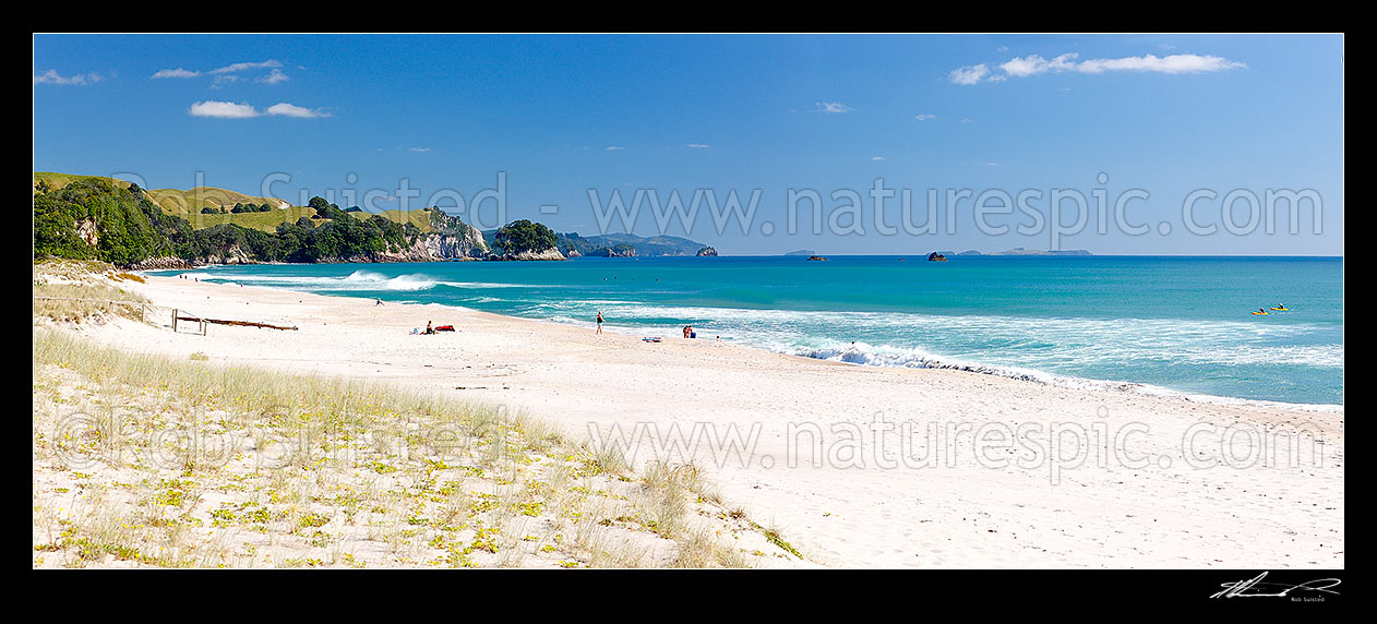 Image of Coromandel Beach at Whiritoa, with people enjoying relaxing, bodyboarding, swimming, surfing, walking and sunbathing in summer warmth. Coromandel Peninsula. Panorama, Whiritoa, Hauraki District, Waikato Region, New Zealand (NZ) stock photo image