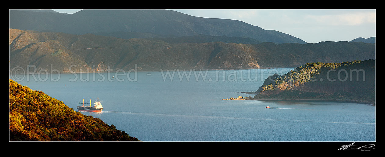 Image of Wellington Harbour with bulk carrier ship and Pilot boat passing Kau Bay, Point Halswell, enroute to Harbour entrance (right). Eastern Bays and Remutaka (Rimutaka) Range behind. Panorama, Wellington, Wellington City District, Wellington Region, New Zealand (NZ) stock photo image