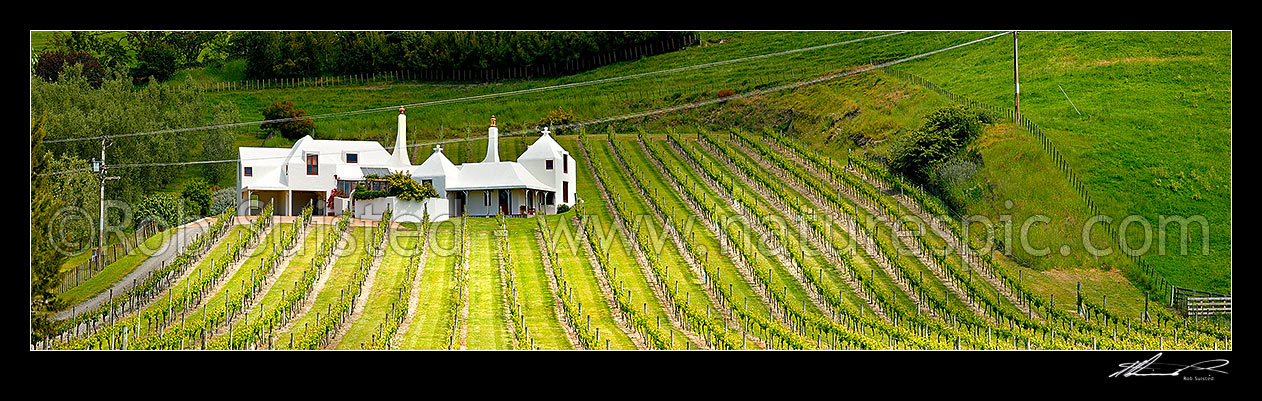 Image of Coleraine House or 'Buck House' landmark amongst vineyards of Te Mata Estate. House designed by Ian Athfield & built 1980. Panorama, Havelock North, Hastings District, Hawke's Bay Region, New Zealand (NZ) stock photo image