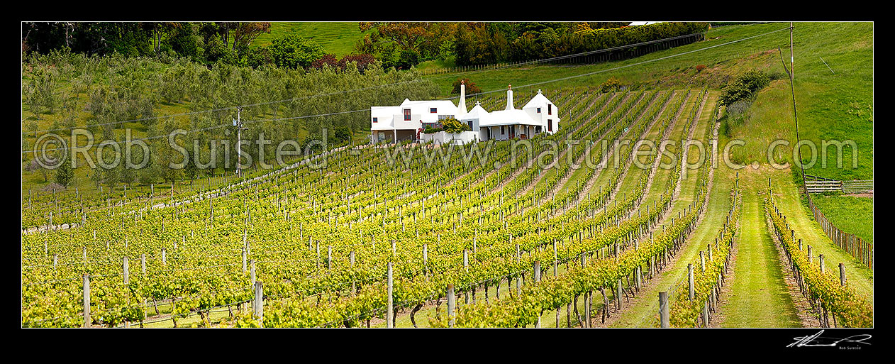 Image of Coleraine House or 'Buck House' landmark amongst vineyards of Te Mata Estate. House designed by Ian Athfield & built 1980. Panorama, Havelock North, Hastings District, Hawke's Bay Region, New Zealand (NZ) stock photo image