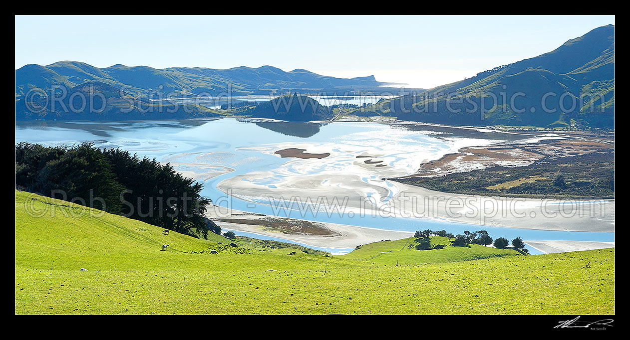 Image of Lush farmland and sheep above a perfectly calm Hoopers Inlet morning. Papanui Inlet beyond. Mt Charles /Poatiri far right. Panorama, Otago Peninsula, Dunedin City District, Otago Region, New Zealand (NZ) stock photo image