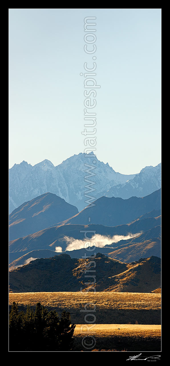 Image of Mount Tapuae-o-Uenuku (2885m) and Mt Alarm high above Molesworth Station pasture on a calm Autumn morning. Inland Kaikoura Range. Vertical panorama, Molesworth Station, Marlborough District, Marlborough Region, New Zealand (NZ) stock photo image