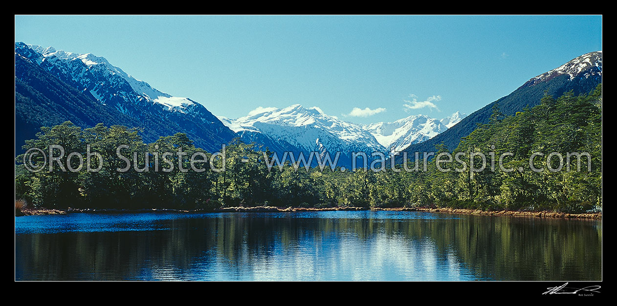 Image of Alpine tarn amongst beech (Nothofagus sp.) forest; Spenser Mountains beyond. Panorama, Lewis Pass, Hurunui District, Canterbury Region, New Zealand (NZ) stock photo image