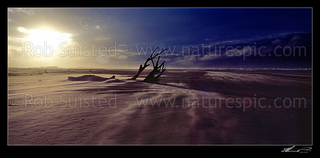 Image of Farewell Spit beach with wind blown sand and driftwood. Moody panorama, Collingwood, Tasman District, Tasman Region, New Zealand (NZ) stock photo image