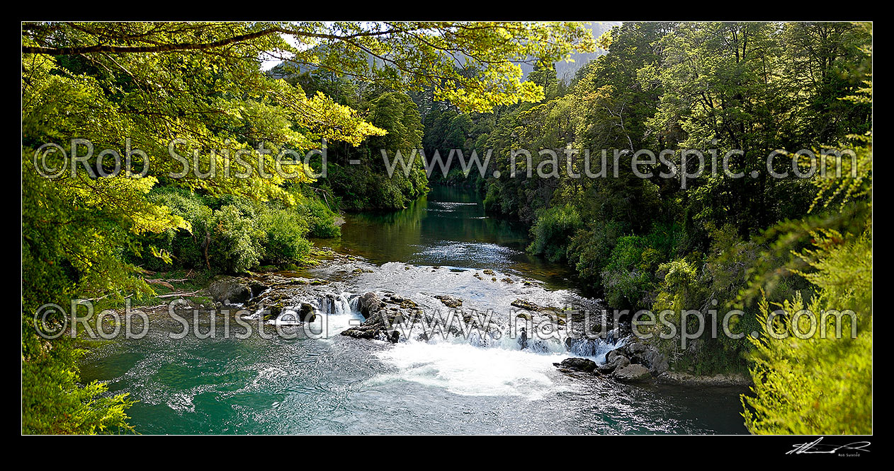 Image of Rai River cascades or falls passing through native beech forest. Panorama, New Zealand (NZ) stock photo image