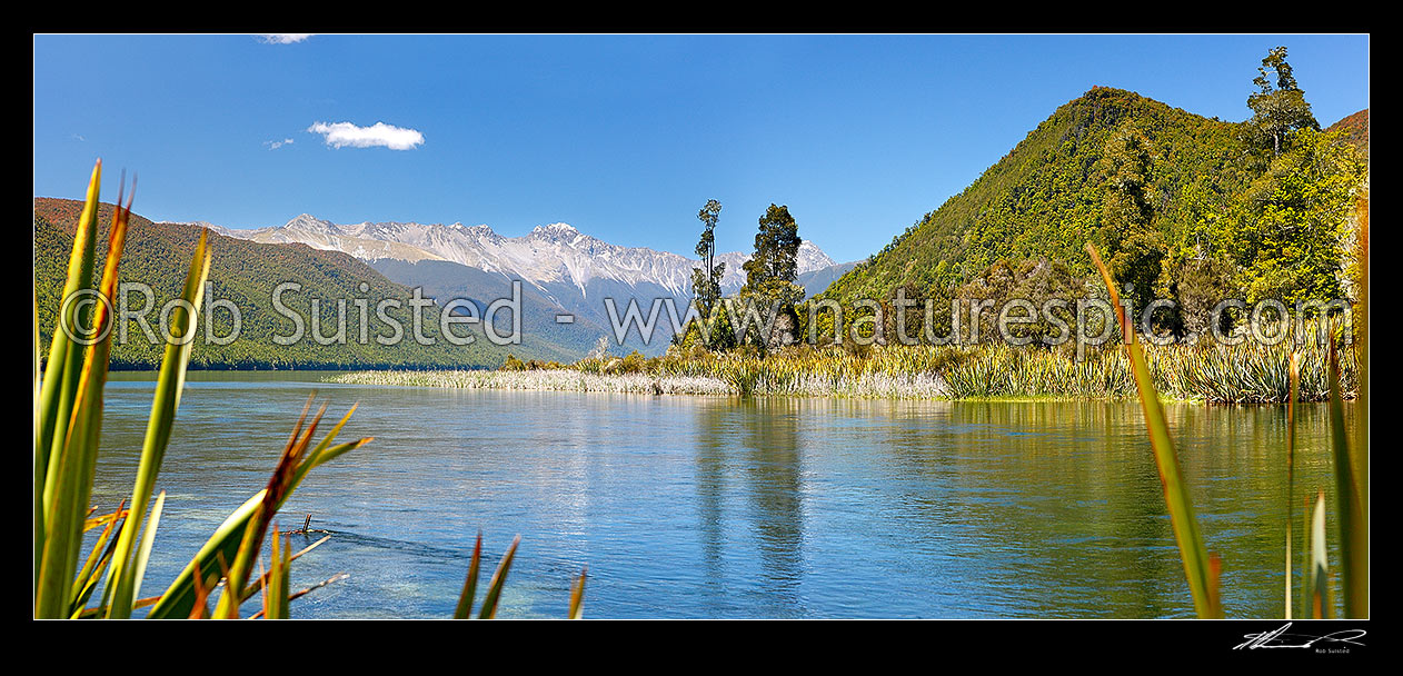 Image of Lake Rotoroa and the Gowan River. Travers Range in distance. Panorama, Nelson Lakes National Park, Tasman District, Tasman Region, New Zealand (NZ) stock photo image