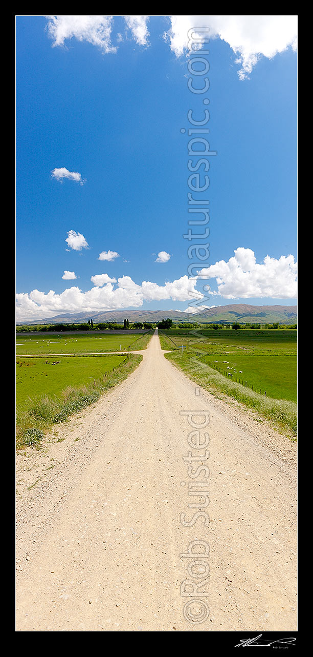 Image of Central Otago crossroads amongst lush farmland and grazing stock. Dunstan Mountains and Lauder Creek behind. Vertical panorama, Becks, Central Otago District, Otago Region, New Zealand (NZ) stock photo image