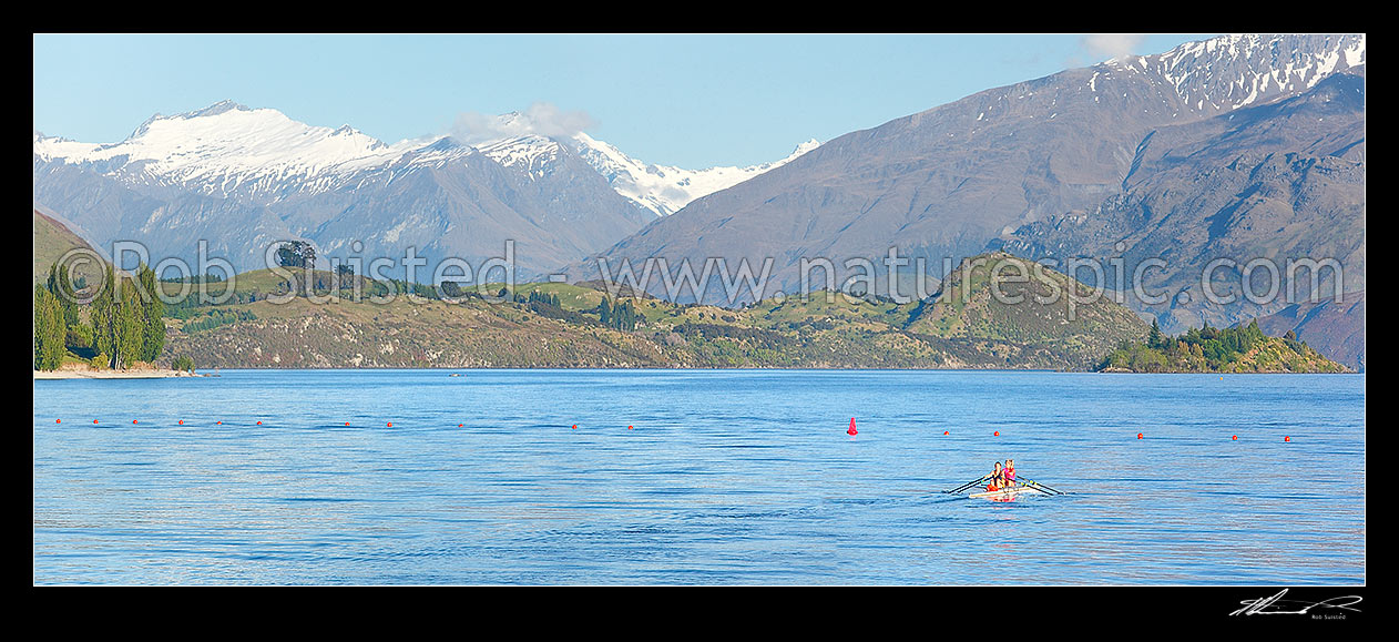 Image of Lake Wanaka rowing double or pair practising. Mount Aspiring National Park beyond. Panorama, Wanaka, Queenstown Lakes District, Otago Region, New Zealand (NZ) stock photo image