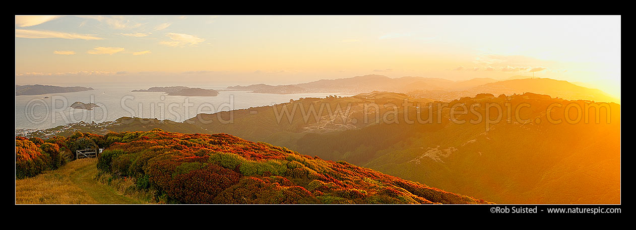 Image of Wellington Harbour at sunset from Belmont peak (456m). Petone, Hutt Valley, Matiu/Somes Is, Pencarrow Head far left, Wellington City, Korokoro, Mt Kaukau right. Panorama, Belmont Regional Park, Wellington City District, Wellington Region, New Zealand (NZ) stock photo image