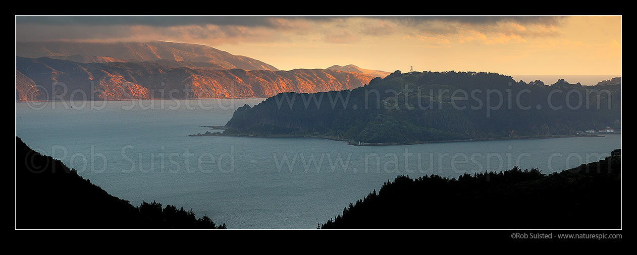 Image of Wellington Harbour panorama. Post storm sunlight on Pencarrow Head and Eastbourne Coast. Point Halswell & Miramar Peninsula right, Wellington Harbour, Wellington City District, Wellington Region, New Zealand (NZ) stock photo image