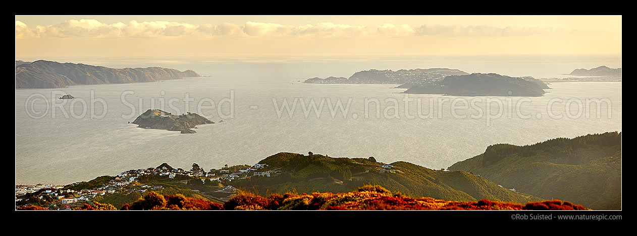 Image of Wellington Harbour entrance, Pencarrow Head and Matiu/Somes Island (left), Miramar Peninsula and Airport (right), seen from Belmont Regional Park. Panorama, Petone, Wellington City District, Wellington Region, New Zealand (NZ) stock photo image