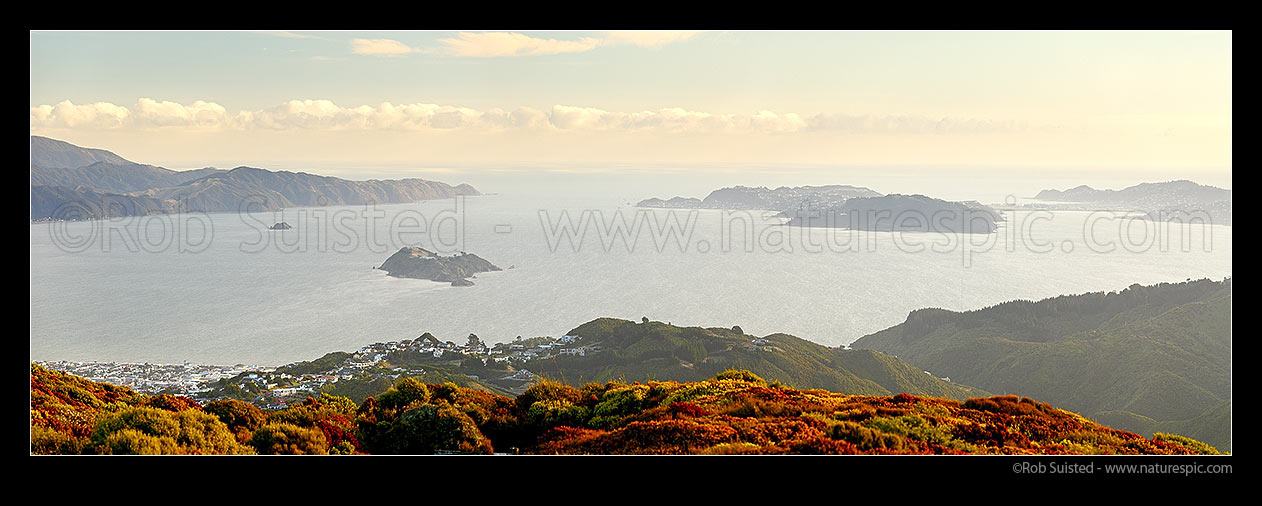 Image of Wellington Harbour panorama. Pencarrow Head, Harbour entrance and Matiu/Somes Island left, Miramar Peninsula, Airport and City at right, seen from Belmont Regional Park above Korokoro, Petone, Wellington City District, Wellington Region, New Zealand (NZ) stock photo image