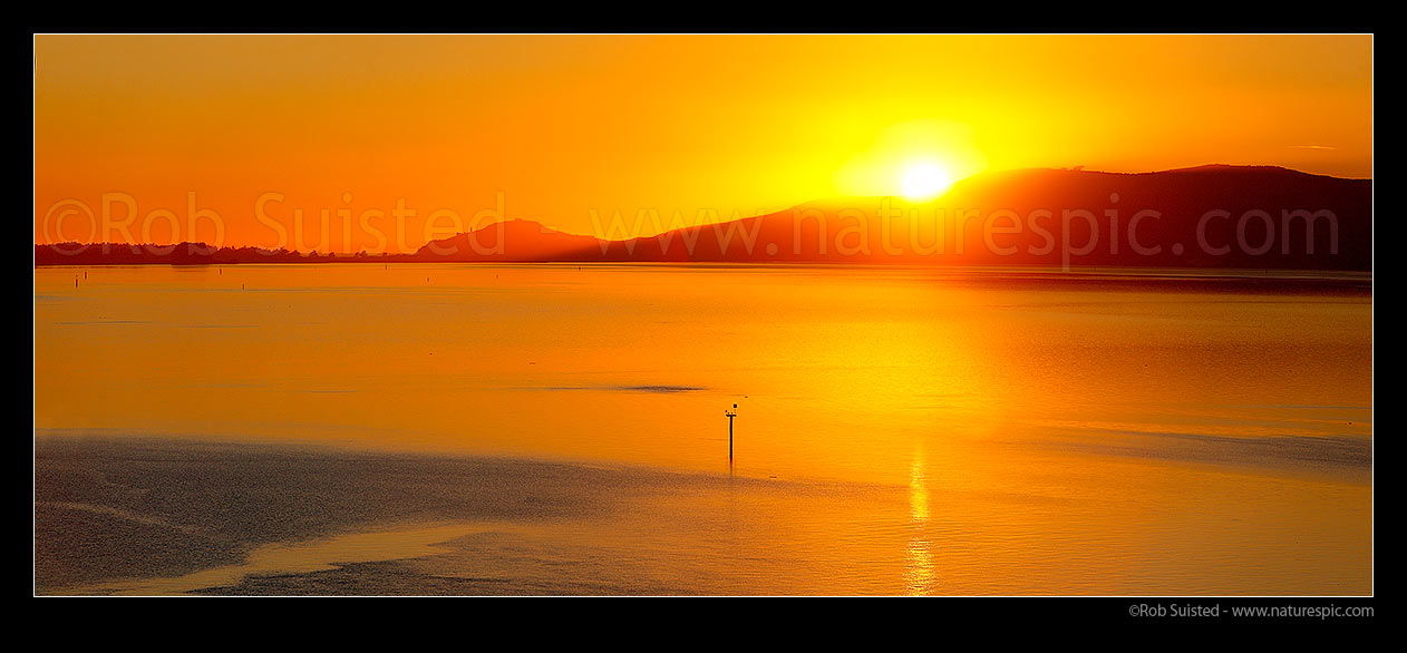 Image of Otago Harbour with sun rising over Hautai Hill. Looking towards Aramoana (left), The Spit, Taiaroa Head, and Harington Point. Panorama, Port Chalmers, Dunedin City District, Otago Region, New Zealand (NZ) stock photo image