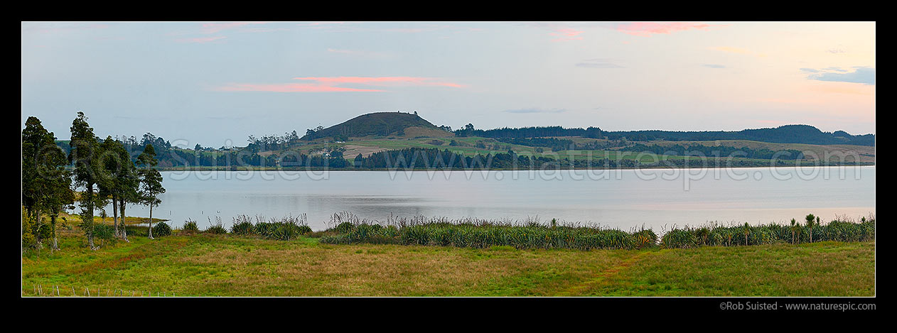 Image of Lake Omapere dusk. Remnant Kahikatea tree forest and flax Harakeke on lake shoreline. Mt Putahi beyond near Kaikohe. Panorama, Okaihau, Far North District, Northland Region, New Zealand (NZ) stock photo image