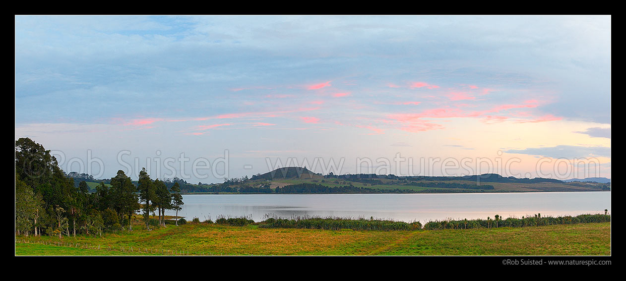 Image of Lake Omapere sunset. Remnant Kahikatea tree forest and flax harakeke on lake shoreline and farmland. Mt Putahi beyond near Kaikohe. Panorama, Okaihau, Far North District, Northland Region, New Zealand (NZ) stock photo image