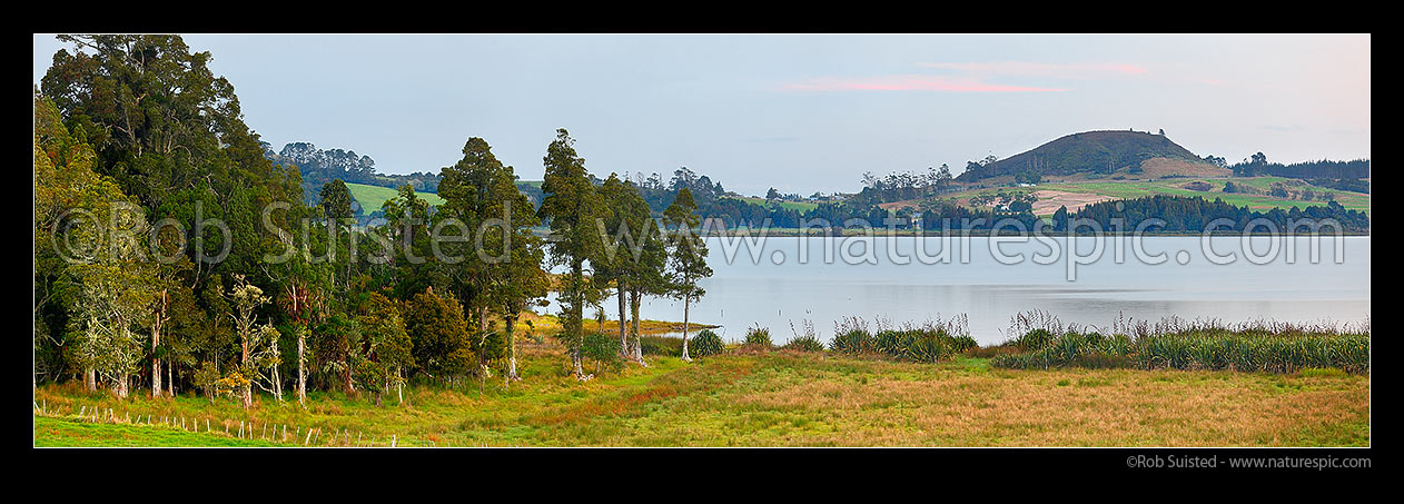 Image of Lake Omapere twilight. Remnant Kahikatea and Puriri tree forest and flax harakeke on lake shoreline and farmland. Mt Putahi beyond near Kaikohe. Panorama, Okaihau, Far North District, Northland Region, New Zealand (NZ) stock photo image