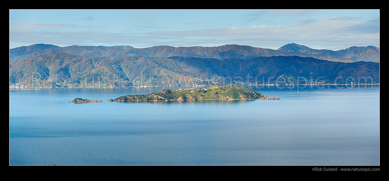 Image of Matiu / Somes Island in Wellington Harbour. Mokopuna Island (left), with Point Howard, Lowry, Mahina and Days Bays behind. Remutaka (Rimutaka) Range & Mt Matthews distant. Panorama, Wellington, Wellington City District, Wellington Region, New Zealand (NZ) stock photo image