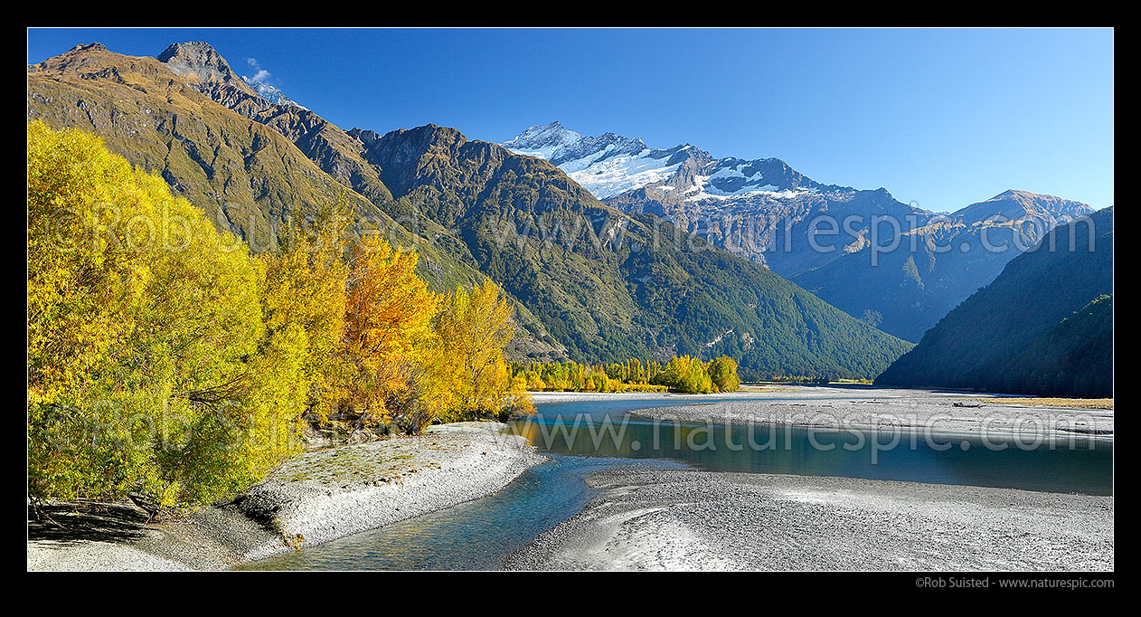 Image of Looking up Matukituki River East Branch, flowing under Mt Avalanche (2606m), and past Cameron Flat, with autumn coloured trees. Panorama, Mount Aspiring National Park, Queenstown Lakes District, Otago Region, New Zealand (NZ) stock photo image