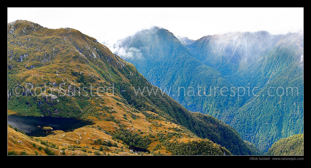 Image of Edith River tops and tarns, looking across the Edith River Valley to Impossible Creek (right), Glaisnock Widlerness Area. Panorama, Fiordland National Park, Southland District, Southland Region, New Zealand (NZ) stock photo image