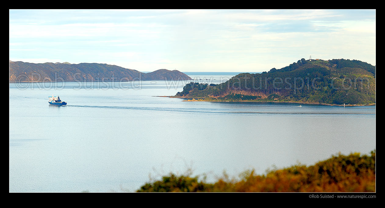 Image of Wellington Harbour Entrance. Pencarrow Head (centre) and Miramar Peninsula, Kau Bay and Point Halswell at right. Bluebridge ferry departing, Wellington, Wellington City District, Wellington Region, New Zealand (NZ) stock photo image