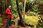 Neville Peat, Fiordland