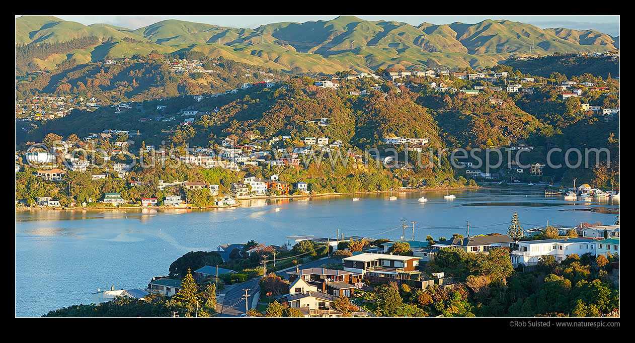 Image of Paremata and Ivey Bay (right) on Porirua Harbour (Pauatahanui Inlet). Whitby far left. Panorama, Paremata, Porirua City District, Wellington Region, New Zealand (NZ) stock photo image