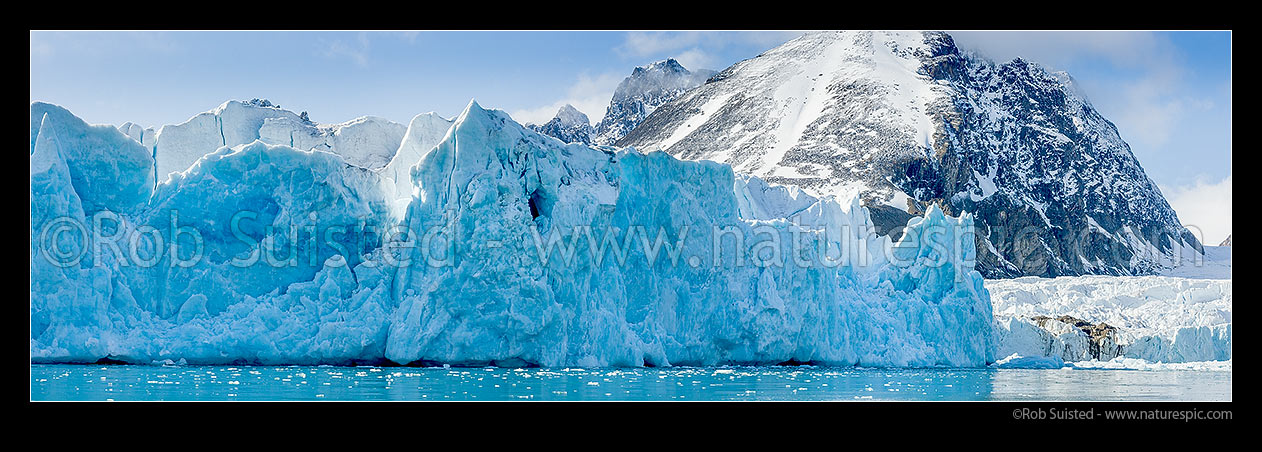 Image of Monacobreen and Seligerbreen Glaciers, Liefdefjorden, North West Spitsbergen. Panorama, Monacobreen, Svalbard stock photo image