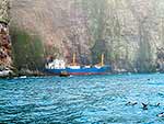 Bear Island shipwreck, Svalbard