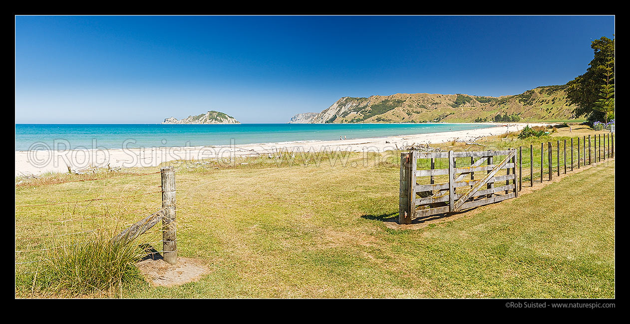 Image of Anaura Bay beach with a couple walking on sand. Captain Cook's landing site 1769. Marau Point visible between Motuoroi Island and mainland. Panorama, Anaura Bay, Gisborne District, Gisborne Region, New Zealand (NZ) stock photo image