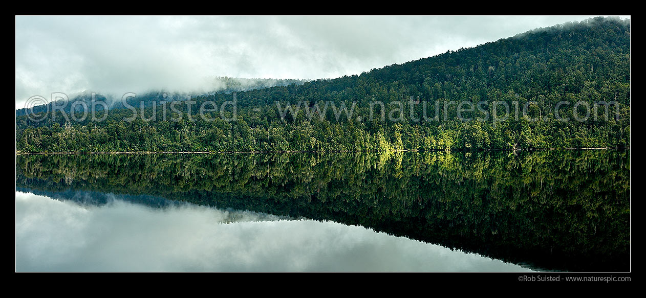 Image of Lake Mapourika surrounded by sunlit rainforest. Reflections. Westland / Tai Poutini National Park, South Westland. Panorama, Franz Josef, Westland District, West Coast Region, New Zealand (NZ) stock photo image