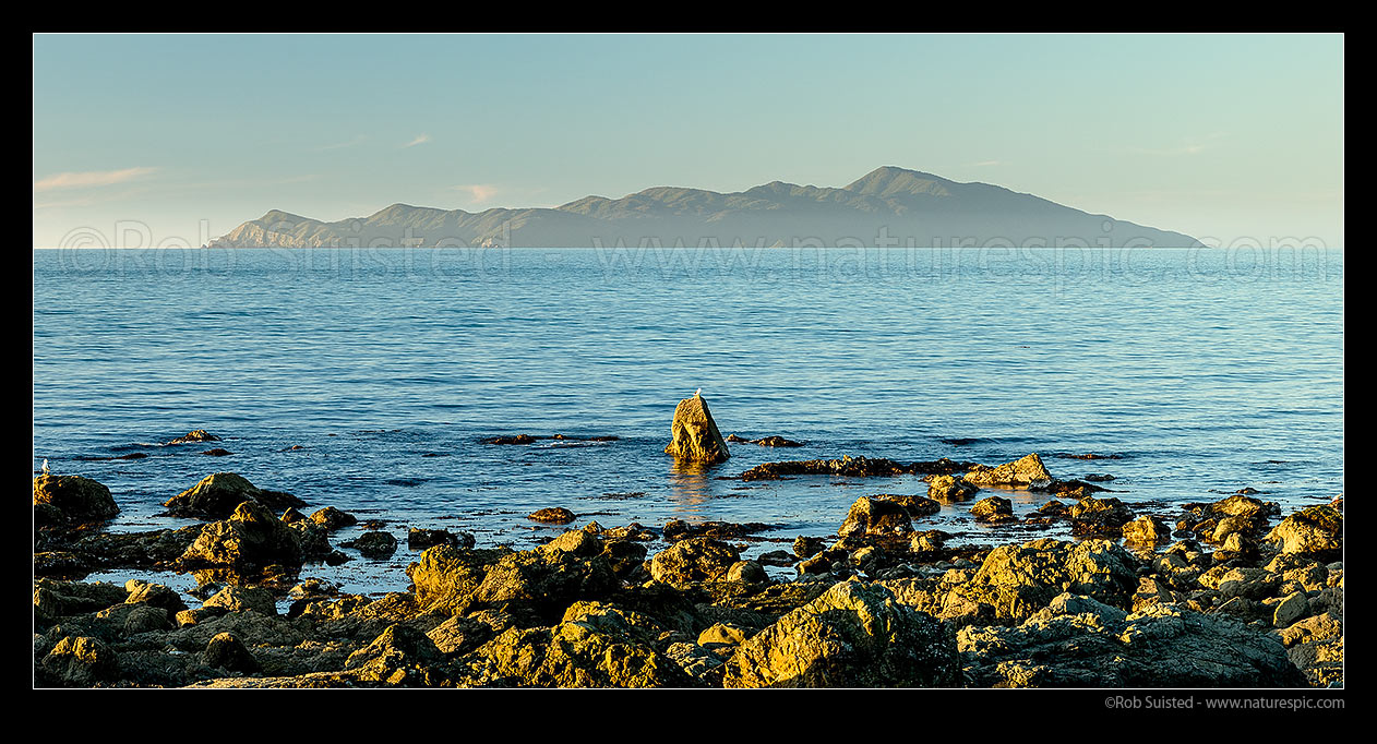 Image of Kapiti Island offshore of Pukerua Bay (high point is Tuteremoana 521m). Rauoterangi Chanel (Otaheke Strait). Panorama, Pukerua Bay, Porirua City District, Wellington Region, New Zealand (NZ) stock photo image