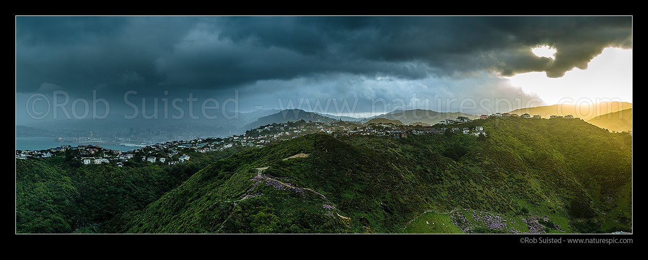 Image of Wellington City panorama with cold southerly weather storm front building over city and harbour at left. Sunset over Khandallah, Wellington, Wellington City District, Wellington Region, New Zealand (NZ) stock photo image