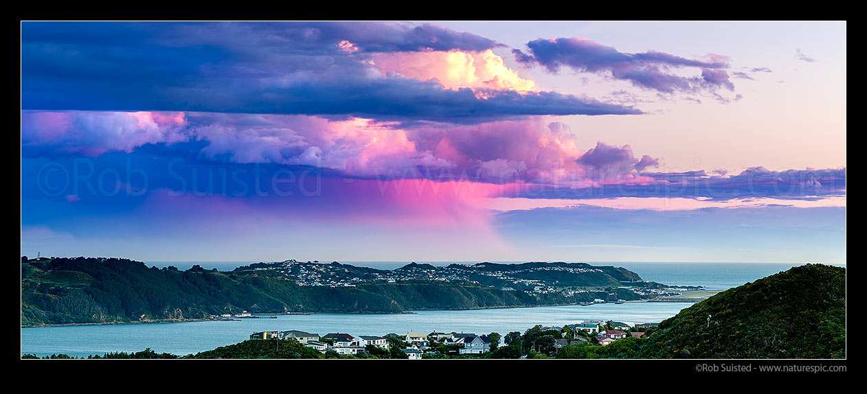 Image of Sunset over Wellington Harbour, with sunset light colouring clouds and a lone rainfall over Cook Strait and Miramar Peninsula. Panorama, Wellington, Wellington City District, Wellington Region, New Zealand (NZ) stock photo image