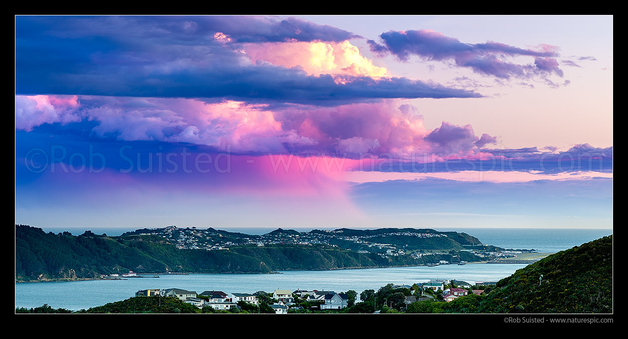 Image of Sunset over Wellington Harbour, with sunset light colouring clouds and a lone rainfall over Cook Strait and Miramar Peninsula. Panorama, Wellington, Wellington City District, Wellington Region, New Zealand (NZ) stock photo image