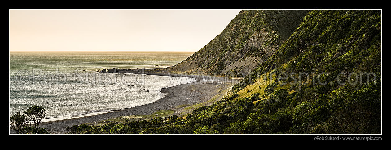 Image of Moody south Wairarapa coastline at dusk. Windy Point and Mukamukaiti Stream centre. Southern Remutaka (Rimutaka) Ranges. Palliser Bay beyond. Panorama, Remutaka Forest Park, South Wairarapa District, Wellington Region, New Zealand (NZ) stock photo image