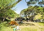 Summer camping, Remutaka FP