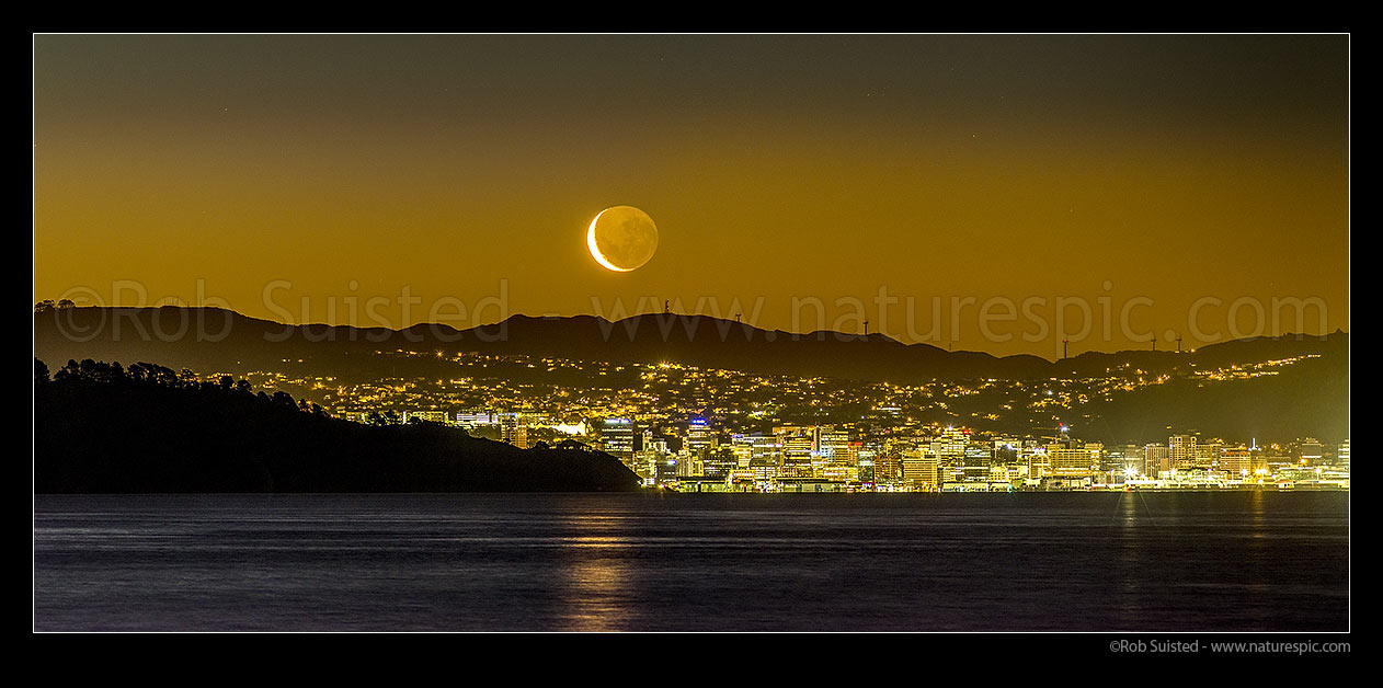 Image of Wellington City panorama with setting moon above. Seen from eastern harbour. Point Halswell centre, Project West Wind wind turbines beyond. Waning crescent moon phase, Wellington, Hutt City District, Wellington Region, New Zealand (NZ) stock photo image