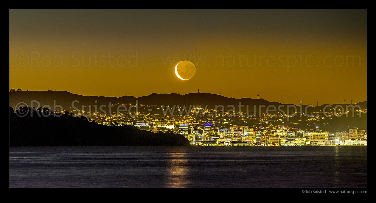 Image of Wellington City panorama with setting moon above. Seen from eastern harbour. Point Halswell centre, Project West Wind wind turbines beyond. Waning crescent moon phase, Wellington, Hutt City District, Wellington Region, New Zealand (NZ) stock photo image