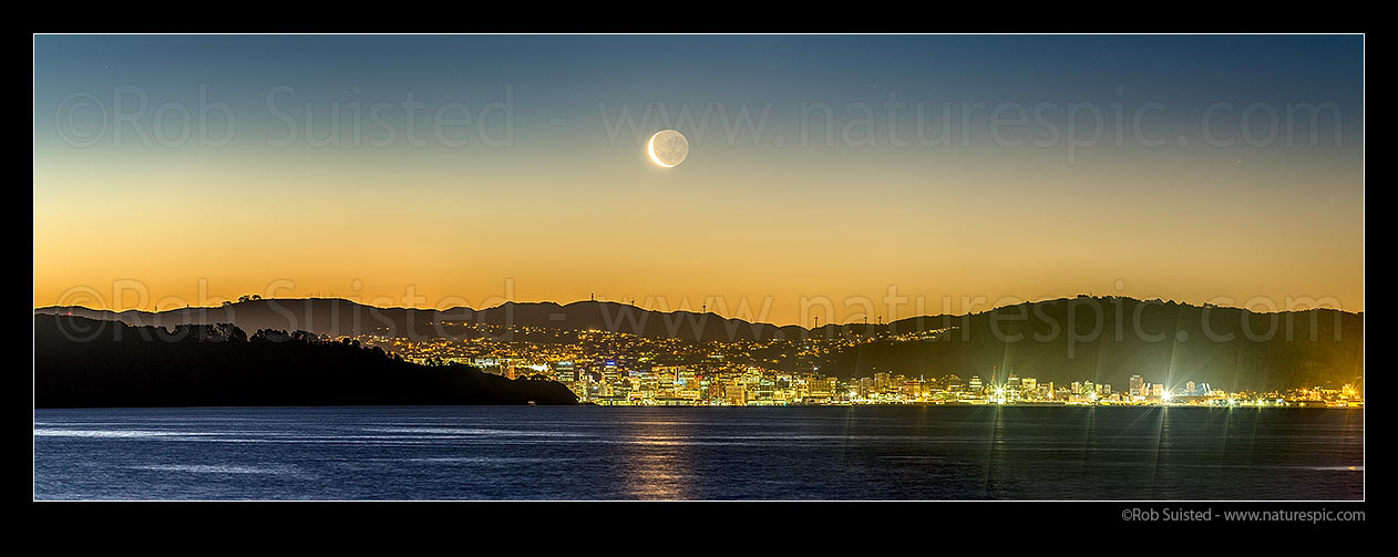 Image of Wellington City twilight panorama with setting moon above. Seen from eastern harbour. Point Halswell centre, Project West Wind wind turbines beyond. Waning crescent moon phase, Wellington, Hutt City District, Wellington Region, New Zealand (NZ) stock photo image