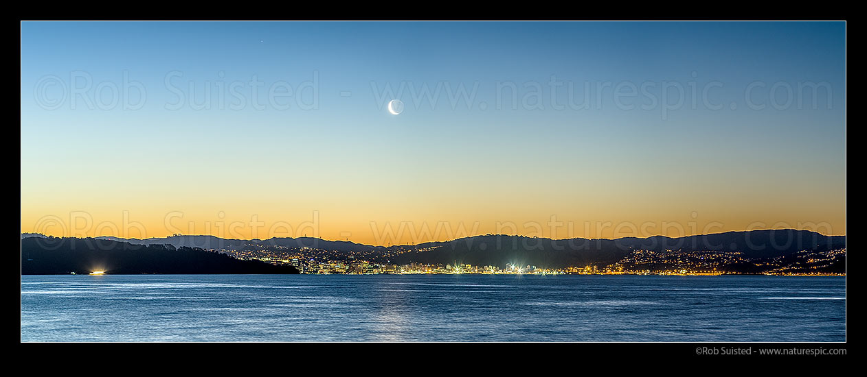 Image of Wellington City twilight panorama with setting moon above. Seen from eastern harbour. Point Halswell centre, Project West Wind wind turbines beyond. Waning crescent moon phase, Wellington, Hutt City District, Wellington Region, New Zealand (NZ) stock photo image