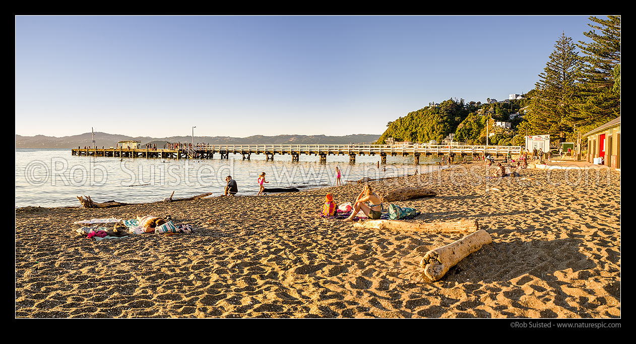 Image of Days Bay beach panorama on a summer evening. People relaxing on beach, swimming and jumping from ferry wharf. Calm lovely dusk, Days Bay, Hutt City District, Wellington Region, New Zealand (NZ) stock photo image