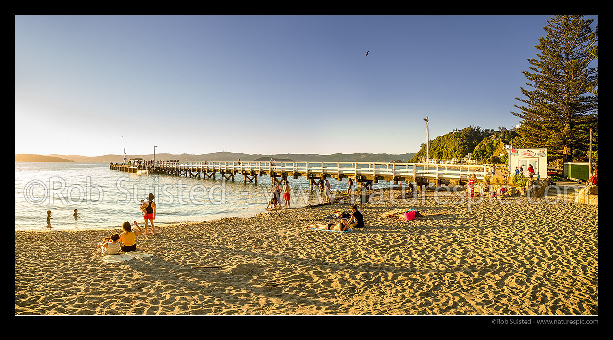 Image of Days Bay beach panorama on a summer evening. People, families, kids and parents relaxing on beach, swimming and jumping from ferry wharf in golden sun, Days Bay, Hutt City District, Wellington Region, New Zealand (NZ) stock photo image