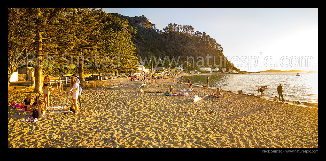 Image of Days Bay Beach with summer evening picnics, swimming and sunbathing in the late afternoon sun. Panorama with Wellington Harbour and Eastbourne far right, Days Bay, Hutt City District, Wellington Region, New Zealand (NZ) stock photo image