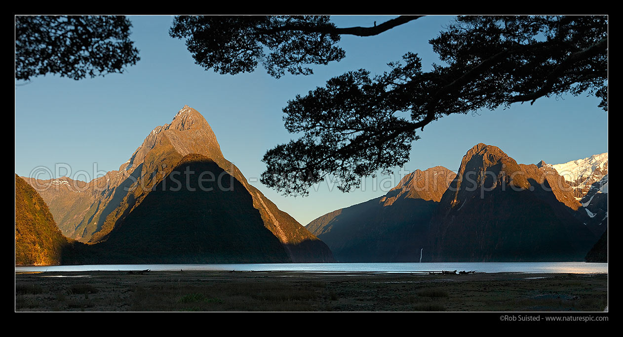 Image of Milford Sound at dawn. Mitre Peak left (1683m), Stirling Falls and The Lion right. Panorama, Milford Sound, Fiordland National Park, Southland District, Southland Region, New Zealand (NZ) stock photo image