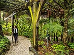 Auckland Winter Gardens Fernery