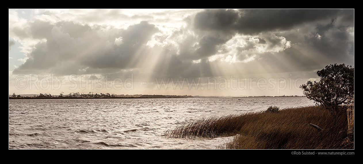 Image of Wairoa River at high tide on a moody evening, near where it meets the Kaipara Harbour. Panorama, Tokatoka, Kaipara District, Northland Region, New Zealand (NZ) stock photo image