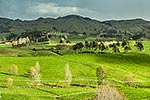 Northland farmland