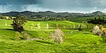 Northland farmland